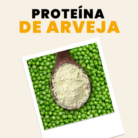 Proteína arveja