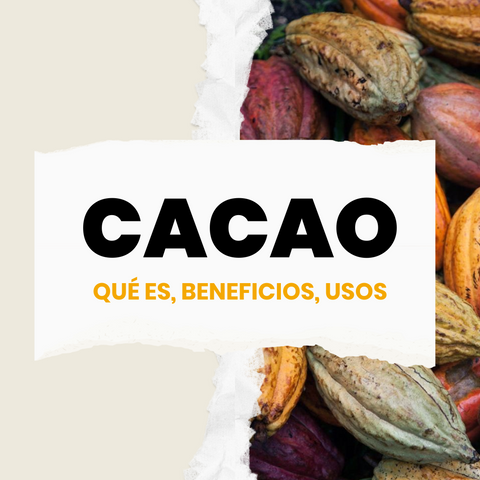 cacao-beneficios-usos-que-es