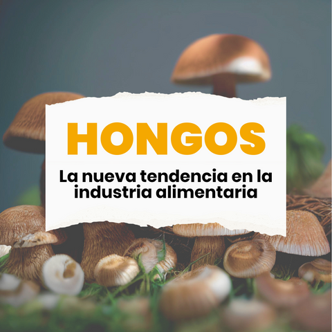 que son los hongos