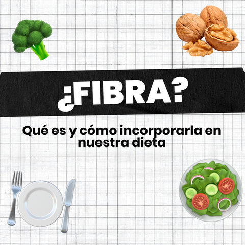 fibra-beneficios-que-es