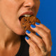 Wild Protein The Cookie Chocolate Chips 10 unidades