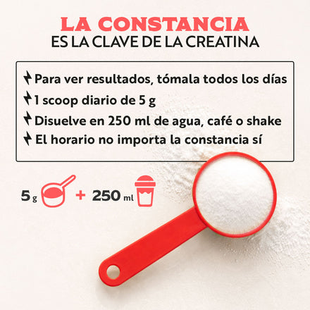 Pack 2 x Creatina Monohidratada 500g