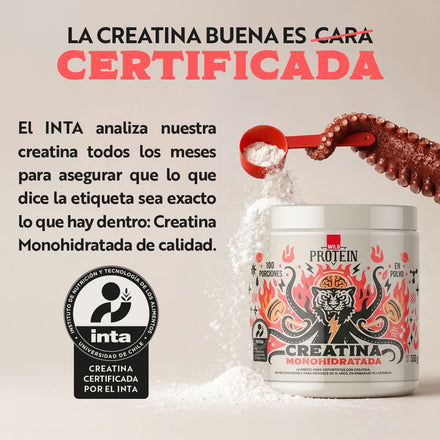 Pack 2 x Creatina Monohidratada 500g