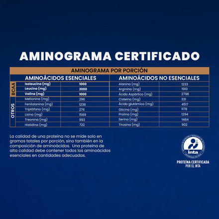 Pack Proteína en polvo sabor Chocolate + Creatina 500g